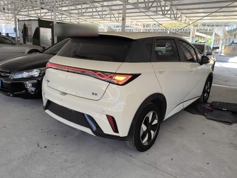 Used BYD Dolphin 2024 Honor Edition 420km Fashion Version — 6
