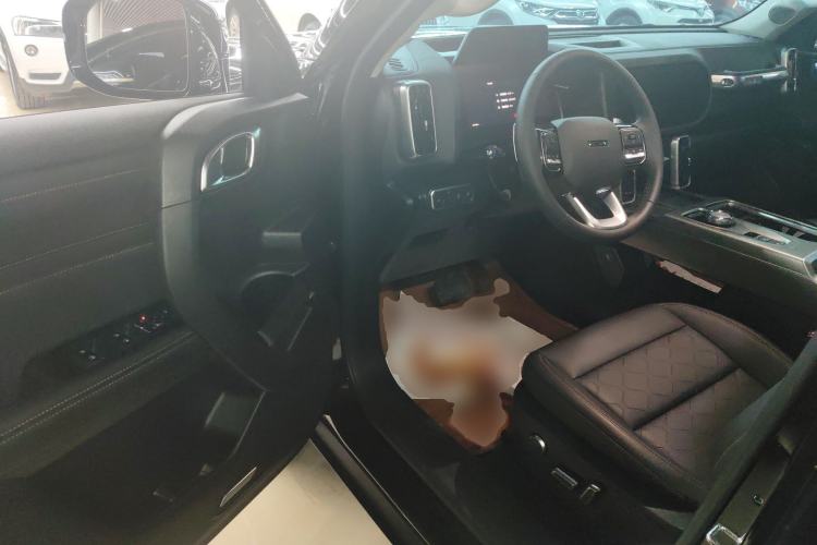 Used Haval DARGO 2024 2.0T DCT Chinese Rural Dog Edition
