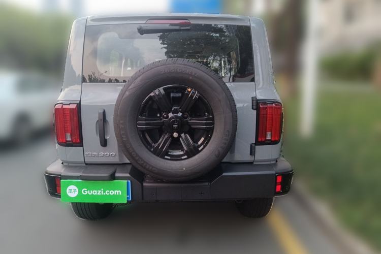 Used Tank 300 2025 2.0T Challenger Rear