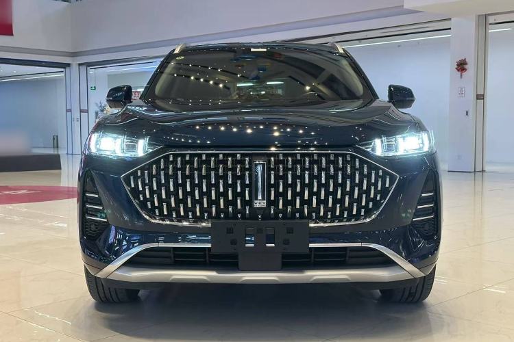 Used Wey Mocha 2021 2.0T Two-Wheel-Drive Premium Edition
