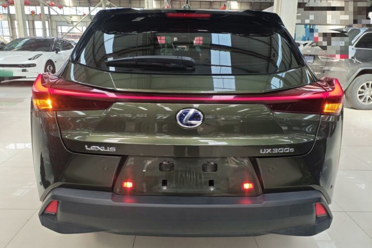 Used Lexus UX New Energy 2020 300e Pure·Joy Edition
