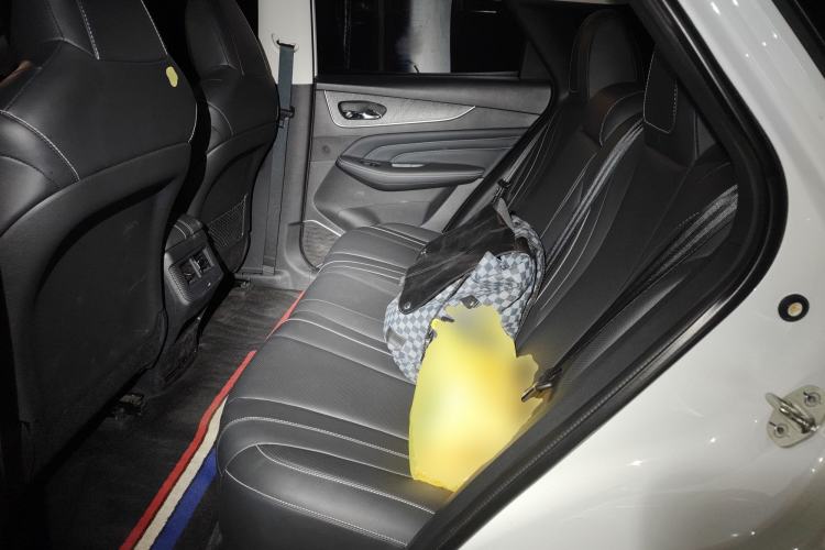 Used Venucia V 2022 260T Black Horse Edition · King
