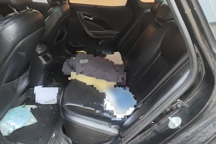 Used Hyundai Azera 2011 2.4L Luxury Model