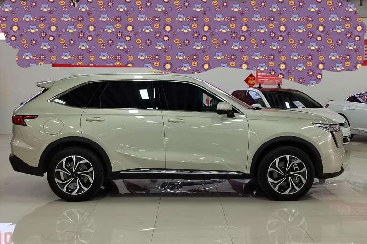 Used Haval Fierce Dragon Max 2023 1.5L Hi4 105 Four-Wheel Drive Smart Flagship Edition
