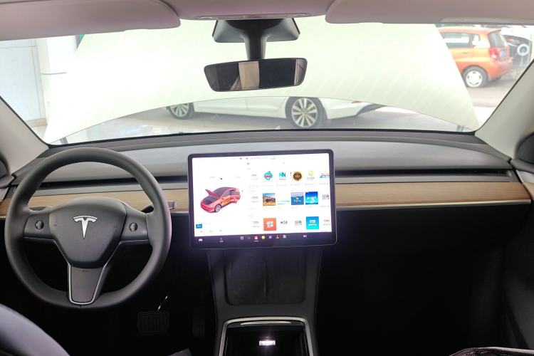 Used Tesla Model Y 2021 Standard Range Rear-Wheel Drive Version
