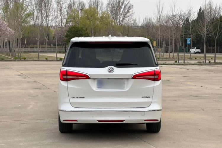 Used Buick GL8 2017 ES 28T Luxury Model China V Standard
