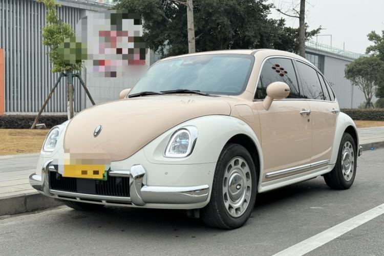 Used ORA Ballet Cat 2023 401 km Luxury Version