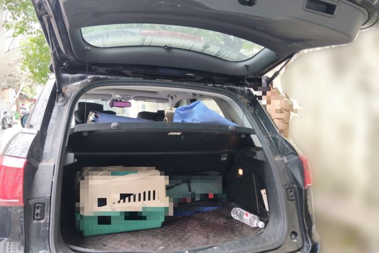 Used Haval H6 Coupe 2016 Blue Label 1.5T Automatic Two-Wheel Drive Elite Model