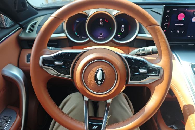 Used ORA Lightning Cat 2022 555 km Luxury Edition Steering Wheel