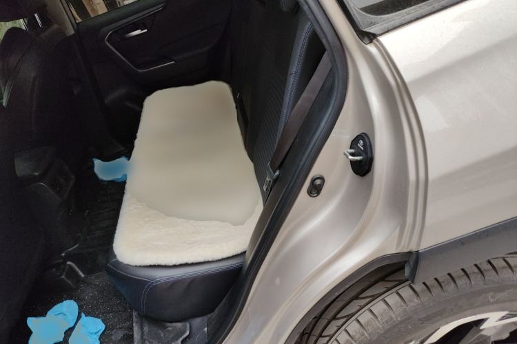 Used Toyota Wildlander 2020 2.0L CVT Two-Wheel Drive Tech Edition Left Rear Seat