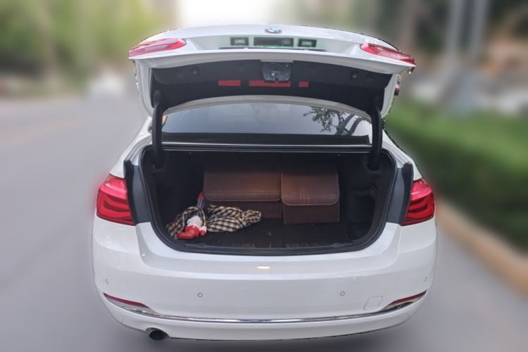 Used BMW 3 Series 2018 318Li
