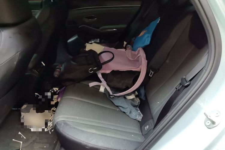 Used BYD Qin L 2025 DM-i Smart Drive 80KM Leading Model Left Rear Seat