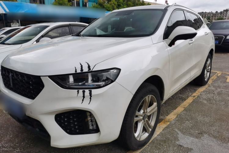 Used Wey VV5 2019 1.5T Two-Wheel Drive Color Pioneer