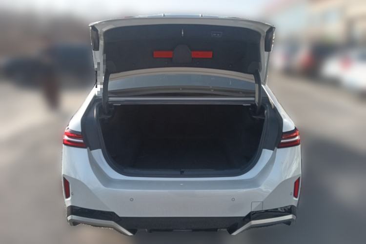 Used BMW 5 Series 2024 530Li Leading Model M Sport Package
