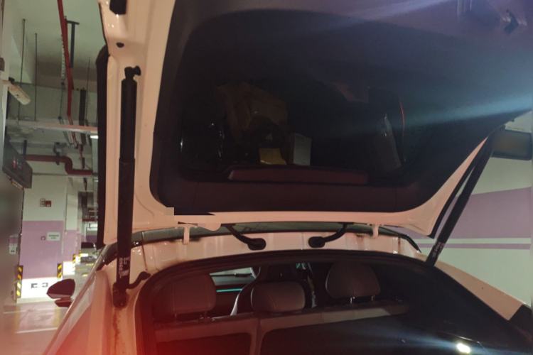 Used Lynk & Co Z20 2025 530 km Range Rear-Wheel Drive Max