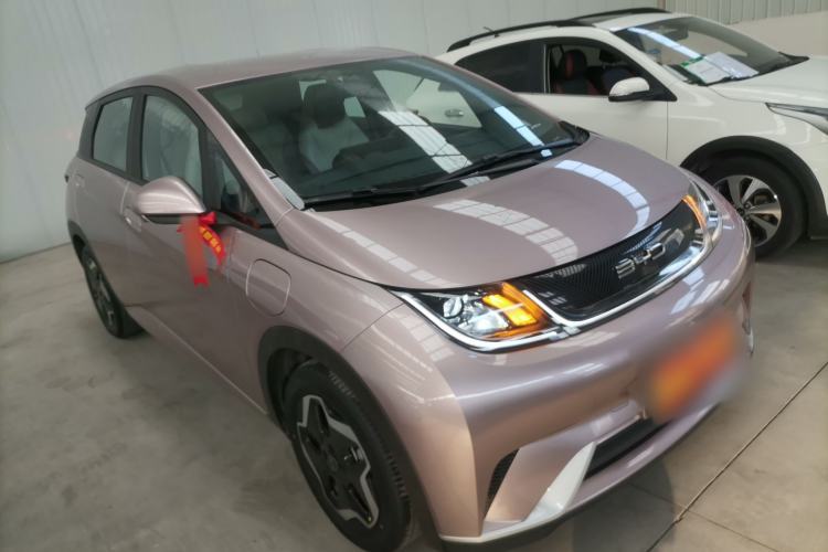 Used BYD Dolphin 2021 405 km Free Version