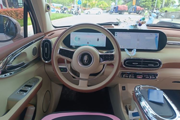 Used ORA Ballet Cat 2023 401 km Luxury Version Steering Wheel