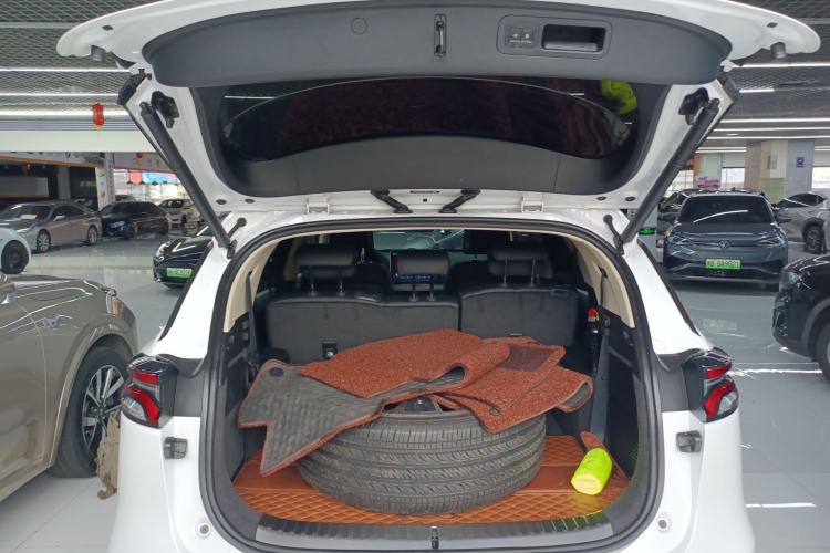 Used BYD Tang New Energy 2019 DM 2.0T All-Wheel Drive Connected Leading Model 7 Seats China VI Standard
