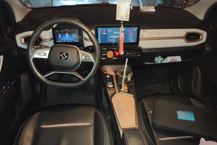 Used SOL E10X 2022 Flower Fairy Design Four-Leaf Clover Center Console