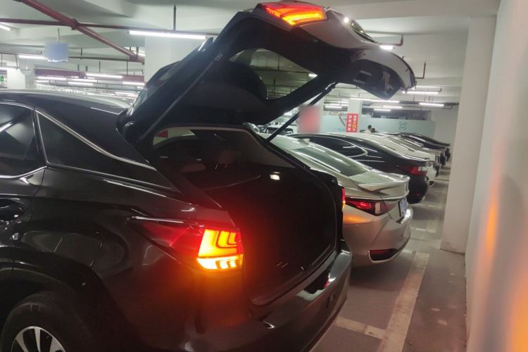 Used Lexus RX 2020 300 Two-Wheel Drive Elite Edition China VI Standard