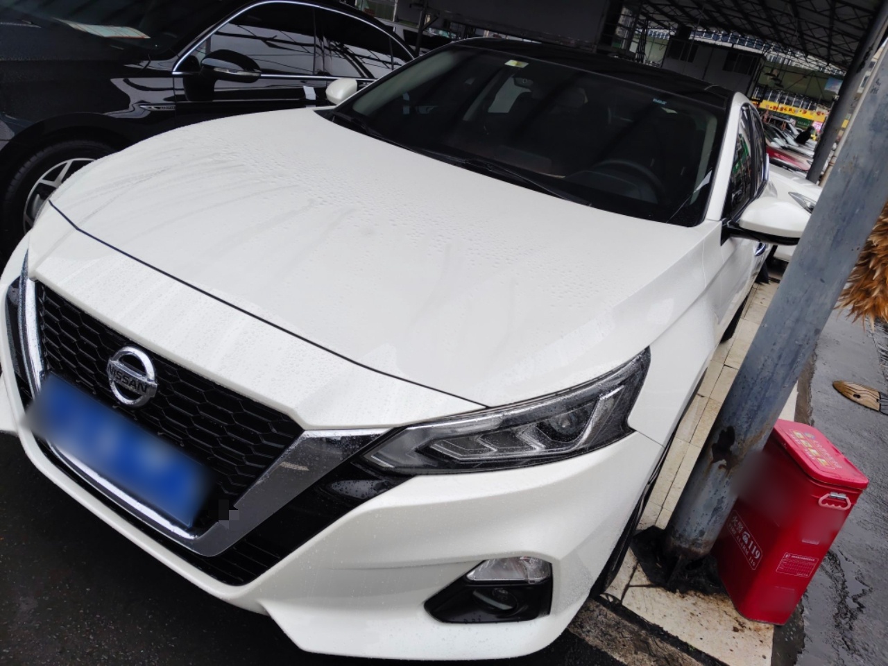 تحت مقدمة السيارة