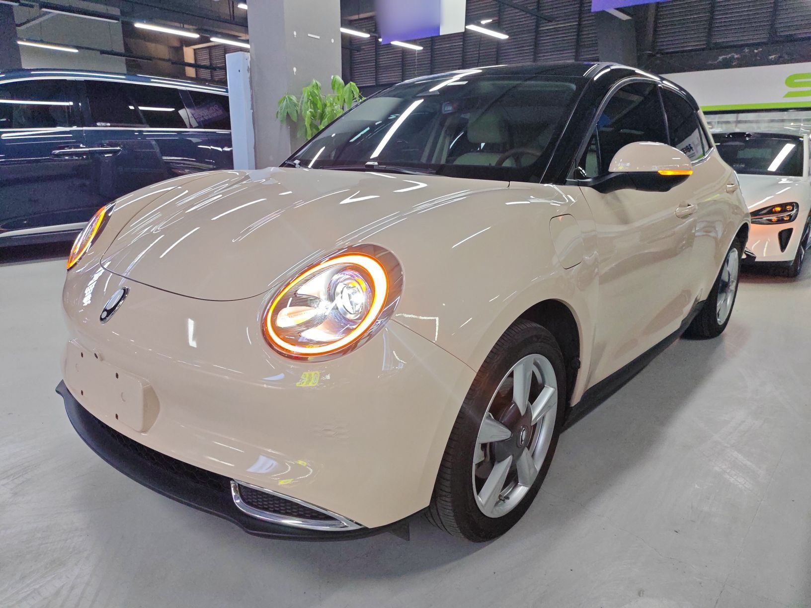 تحت مقدمة السيارة