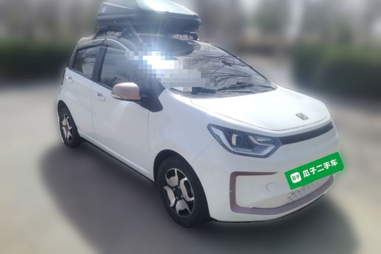 Used SOL E10X 2022 Flower Fairy Style Baby's Breath
