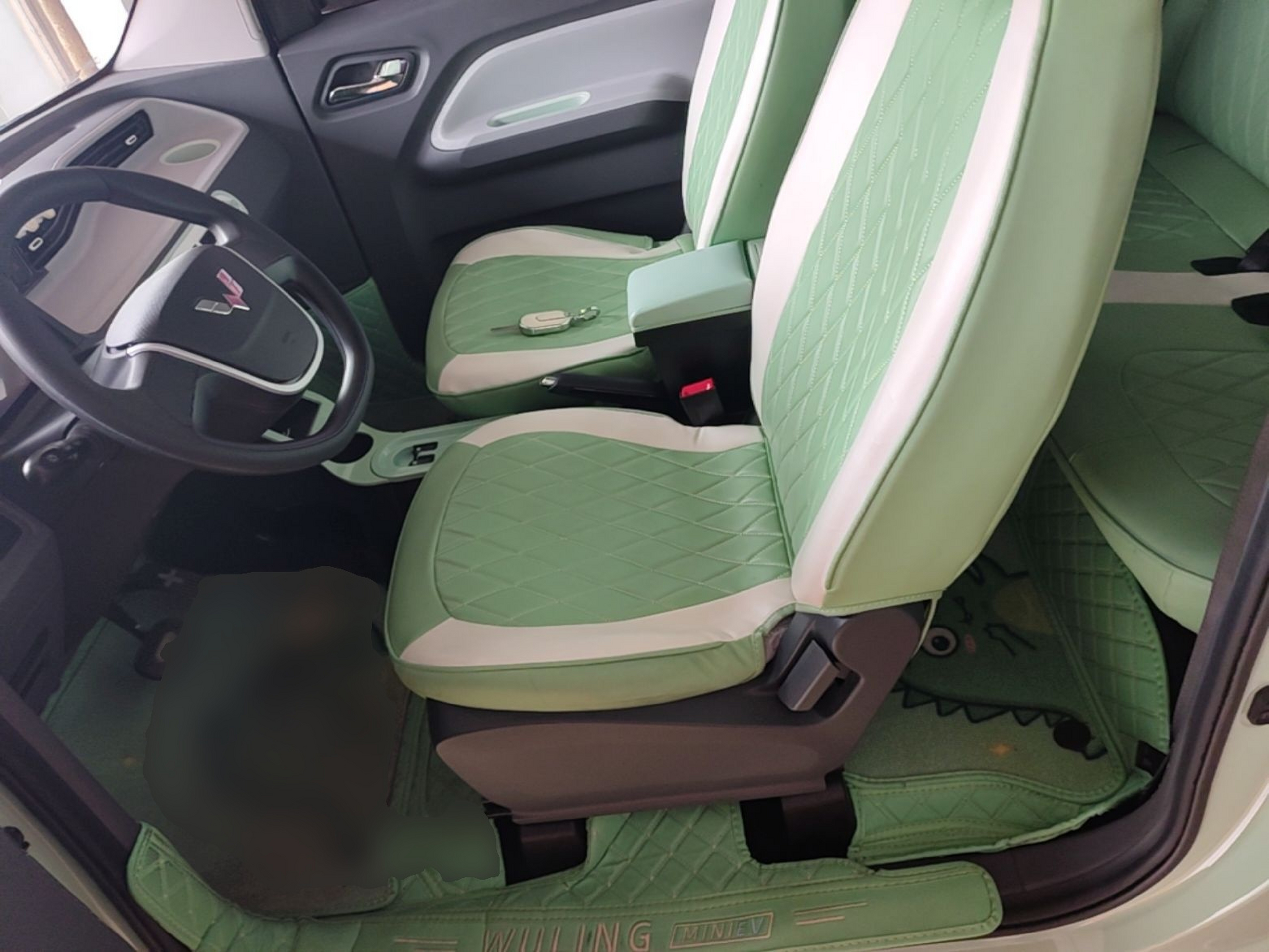 Interior delantero