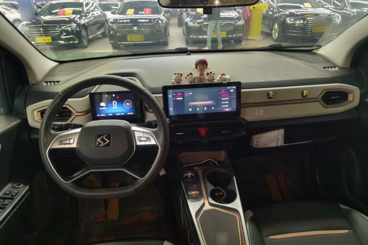 Used SOL E10X 2022 Flower Fairy Design Four-Leaf Clover
