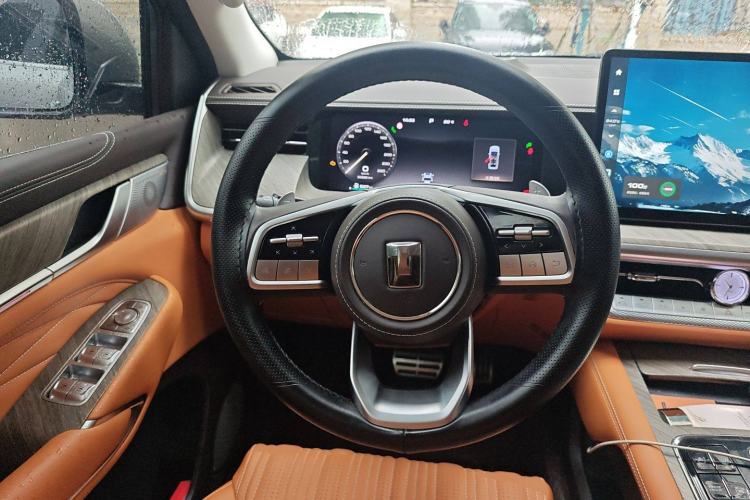 Used Tank 500 New Energy 2024 Hi4-T
