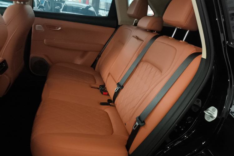 Used Landian E5 PLUS 2026 Model 165km Long-Range First-Adoption Version Ultra 5-seater
