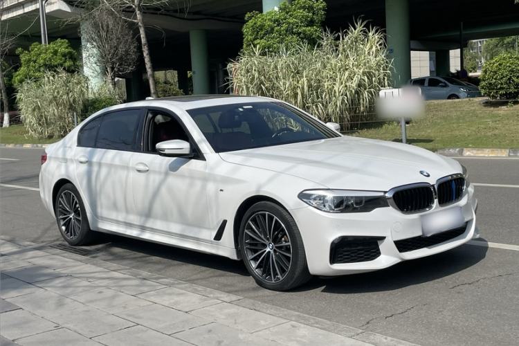 Used BMW 5 Series 2019 530Li Leading Model M Sport Package Exterior 8