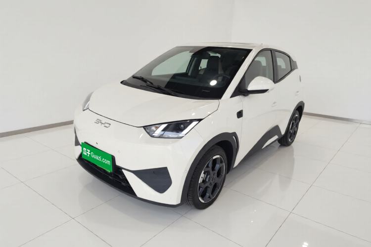 Used BYD Seagull 2025 Smart Drive Version 305 km Freedom Edition