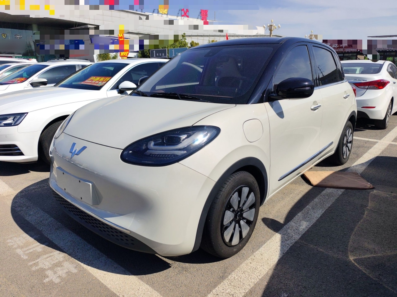 Parte inferior delantera