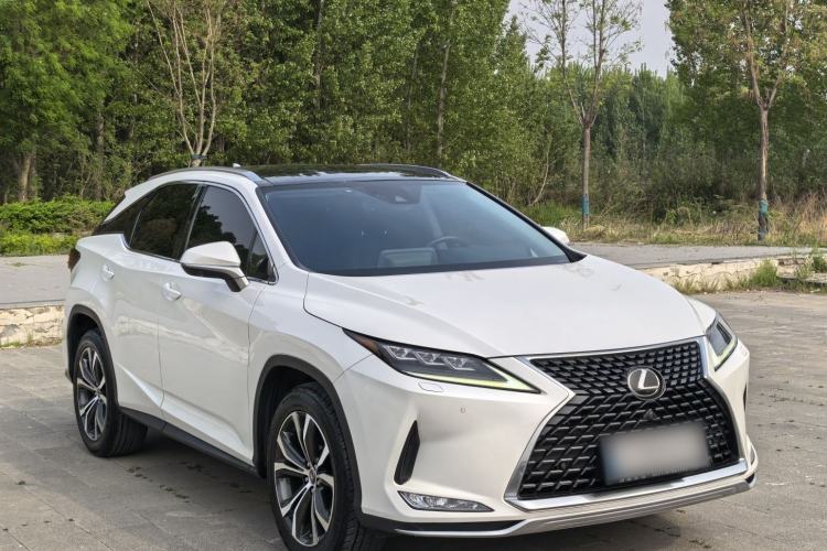 Used Lexus RX 2020 300 4x4 Elegant Edition China VI