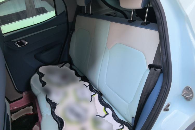 Used Dongfeng NAMMI EX1 2021 Quality Edition Left Rear Seat