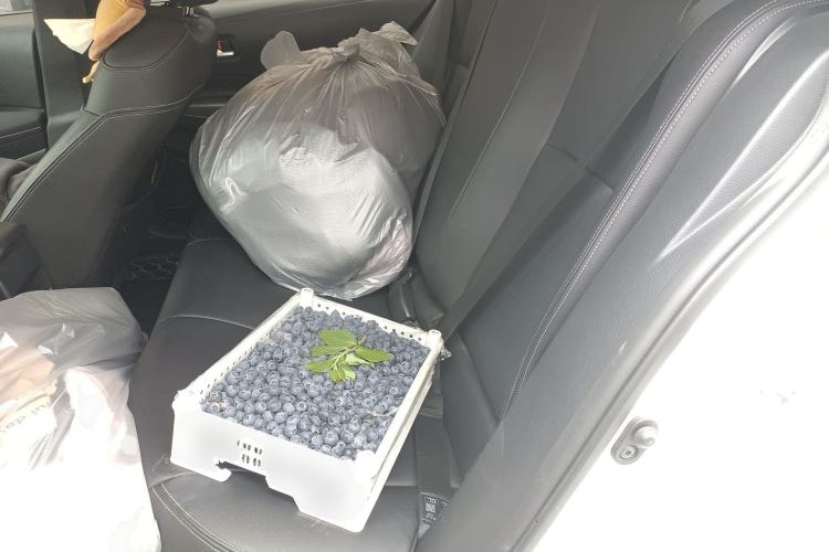 Used Toyota Corolla 2021 1.2T S-CVT Elite PLUS Edition
