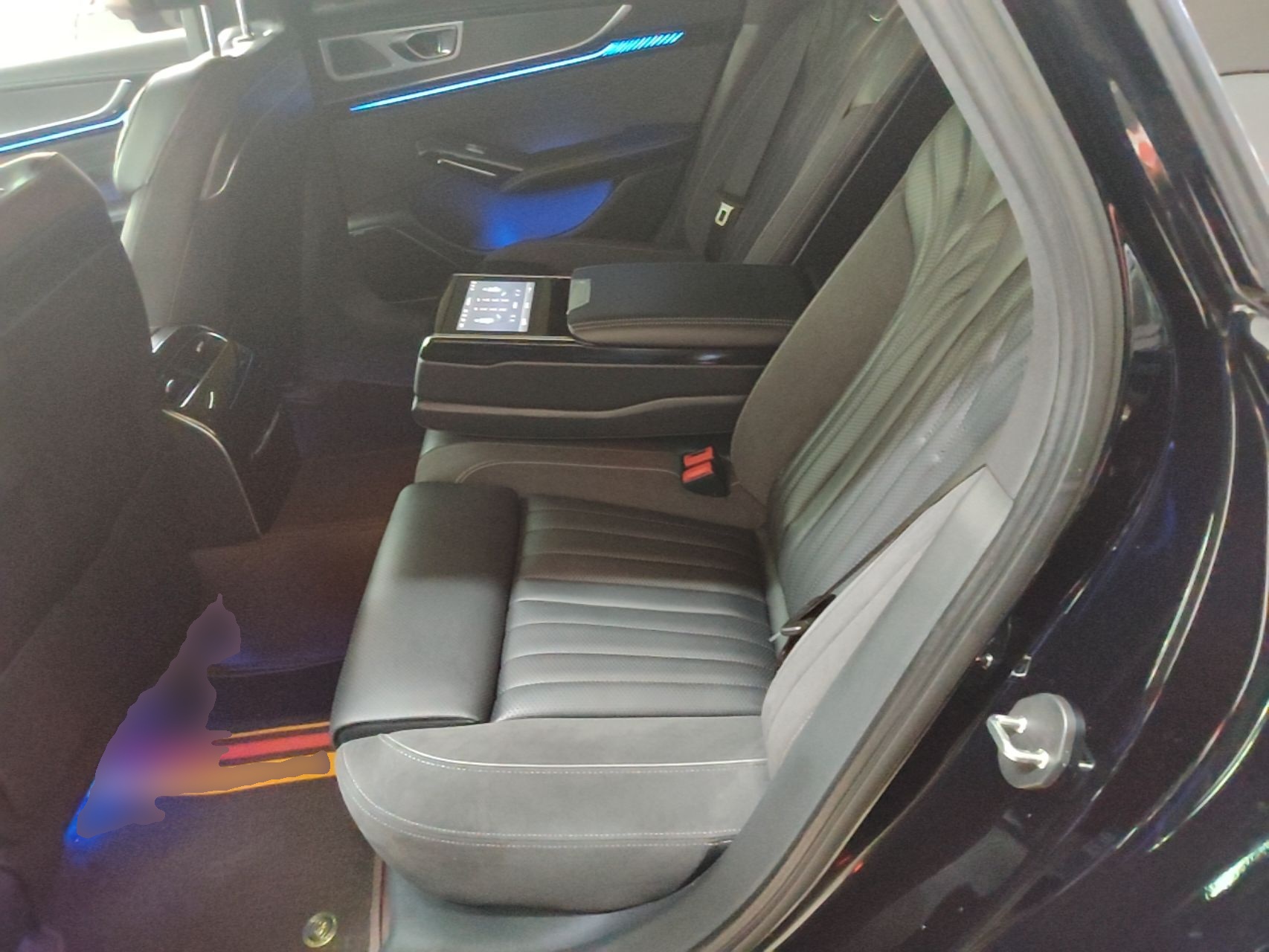 Hongqi H9 2024 2.0T Qichang Private Enjoyment Luxury Edition — снимка 20