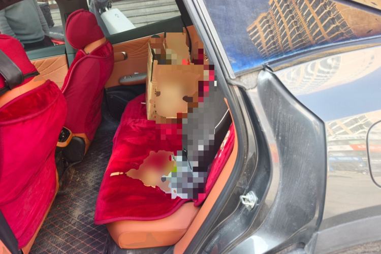 Used Deepal S07 2023 200Max Range-Extended Version Left Rear Seat