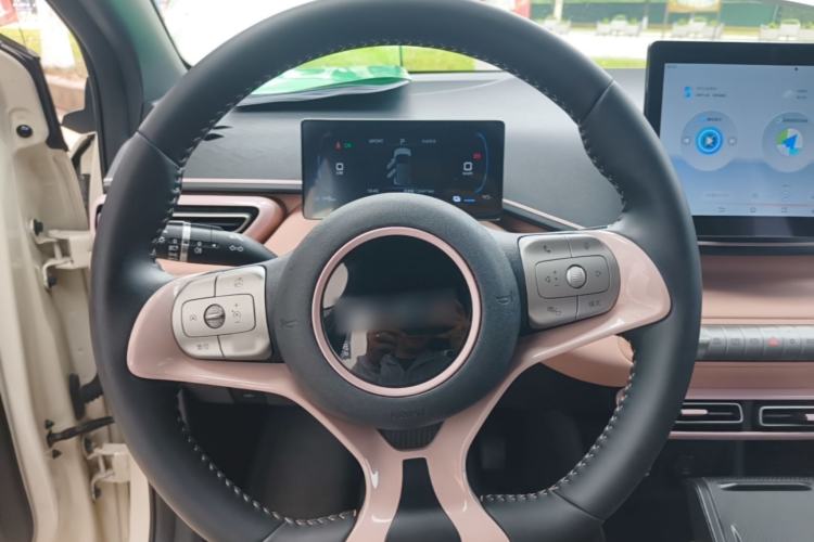 Used BYD Seagull 2025 305 km Free Version
