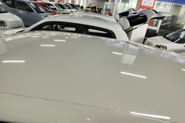 Used Leapmotor T03 2022 Agate Edition Roof