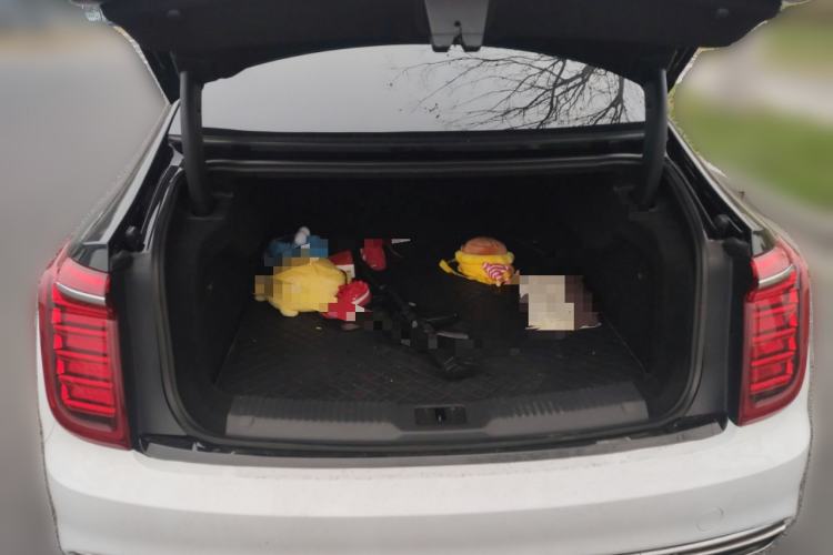 Used Hongqi H9 2020 2.0T Smart Connect Flagship Edition