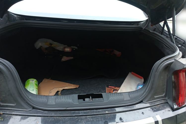 Used Ford Mustang 2018 2.3T Automatic Hardtop Standard Trim U.S. Specification Trunk