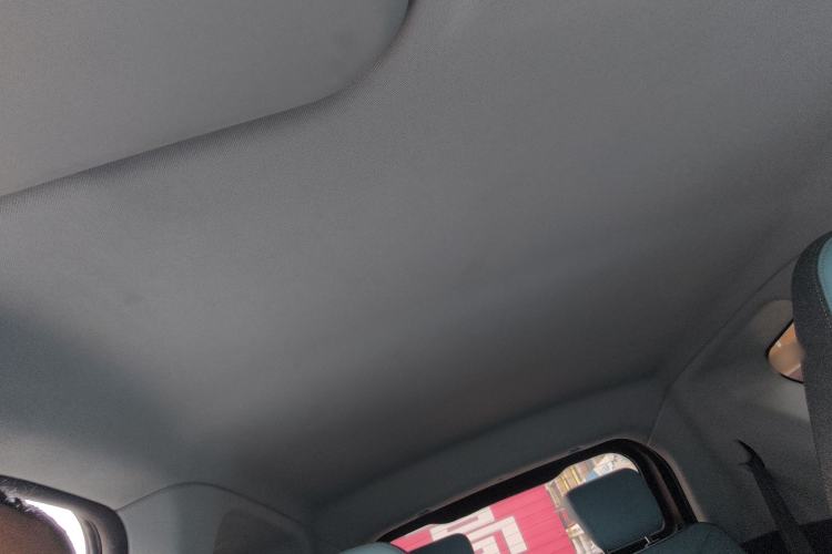 Used Chery Little Ant 2023 251km True Love Edition Lithium Iron Phosphate Headliner