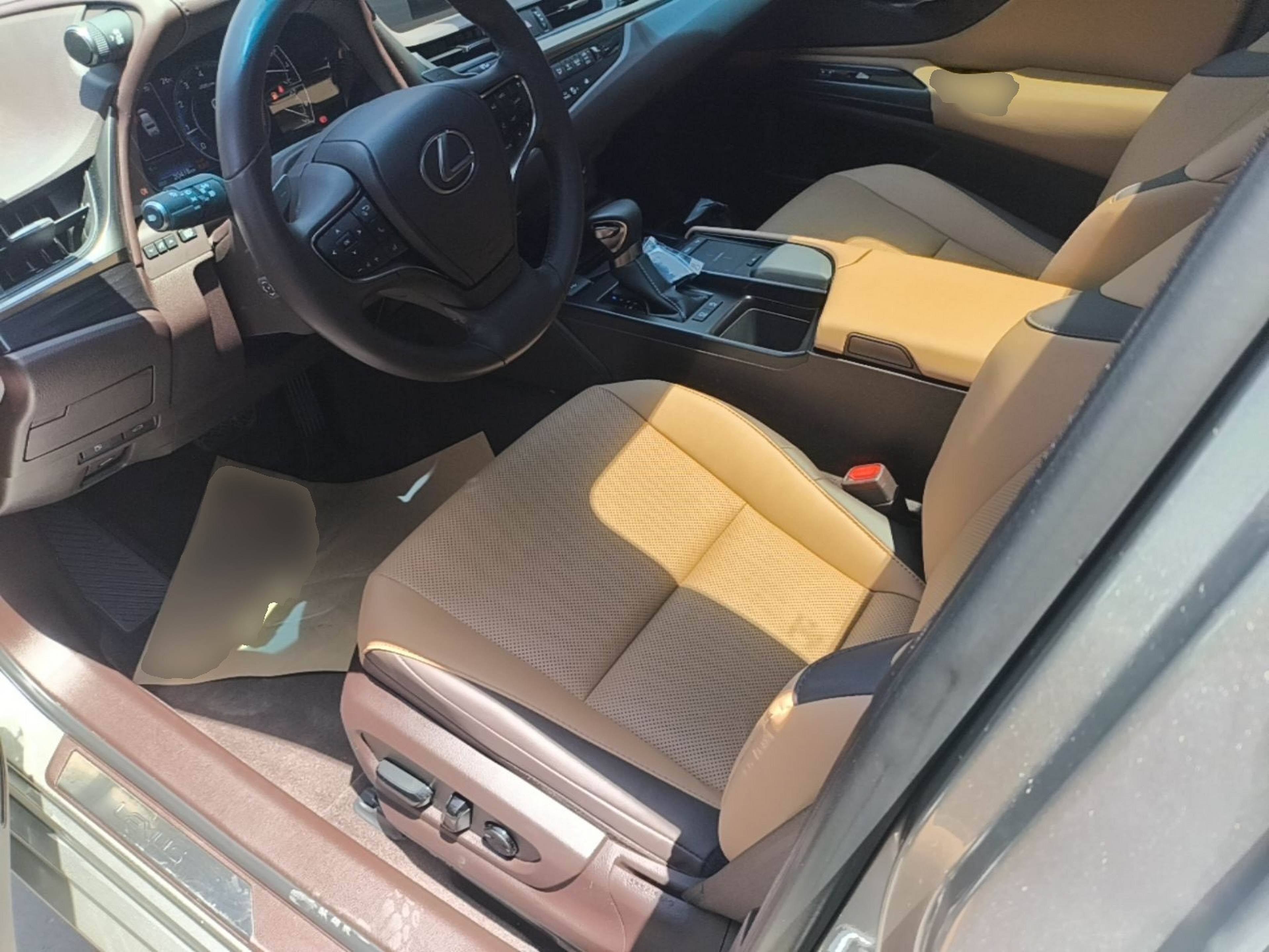 Interior delantero