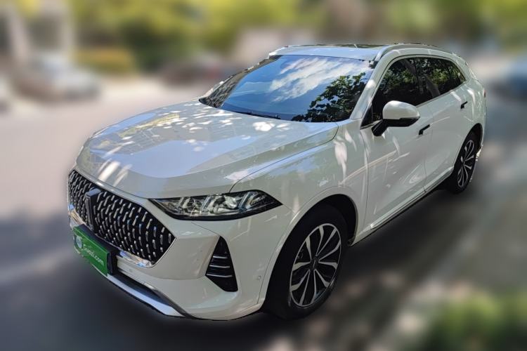 Used Wey Mocha 2021 2.0T Two-Wheel-Drive Premium Edition