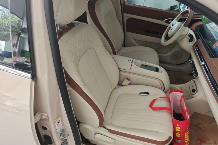 Used ORA Good Cat 2023 401 km Standard Range Luxury Version Lithium Iron Phosphate Right Front Seat