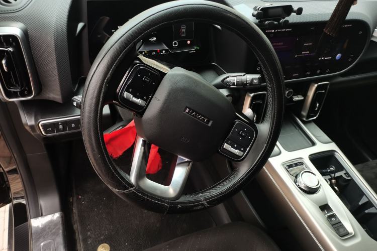 Used Haval DARGO 2024 2.0T DCT Chinese Rural Dog Edition
