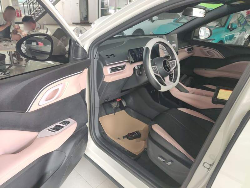 Used BYD Seagull 2025 Smart Drive Version 305 km Freedom Edition — 15