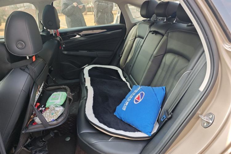 Used Volkswagen Passat 2022 330TSI Elite Edition Left Rear Seat